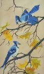 Blue Jay Talk