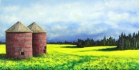 CANOLA FIELD - SOLD