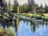Still  Waters