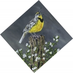 MEADOW LARK