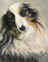 Ozzie - SOLD