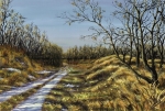 SECLUDED TRAIL