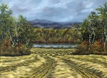 HARVEST SWATHS